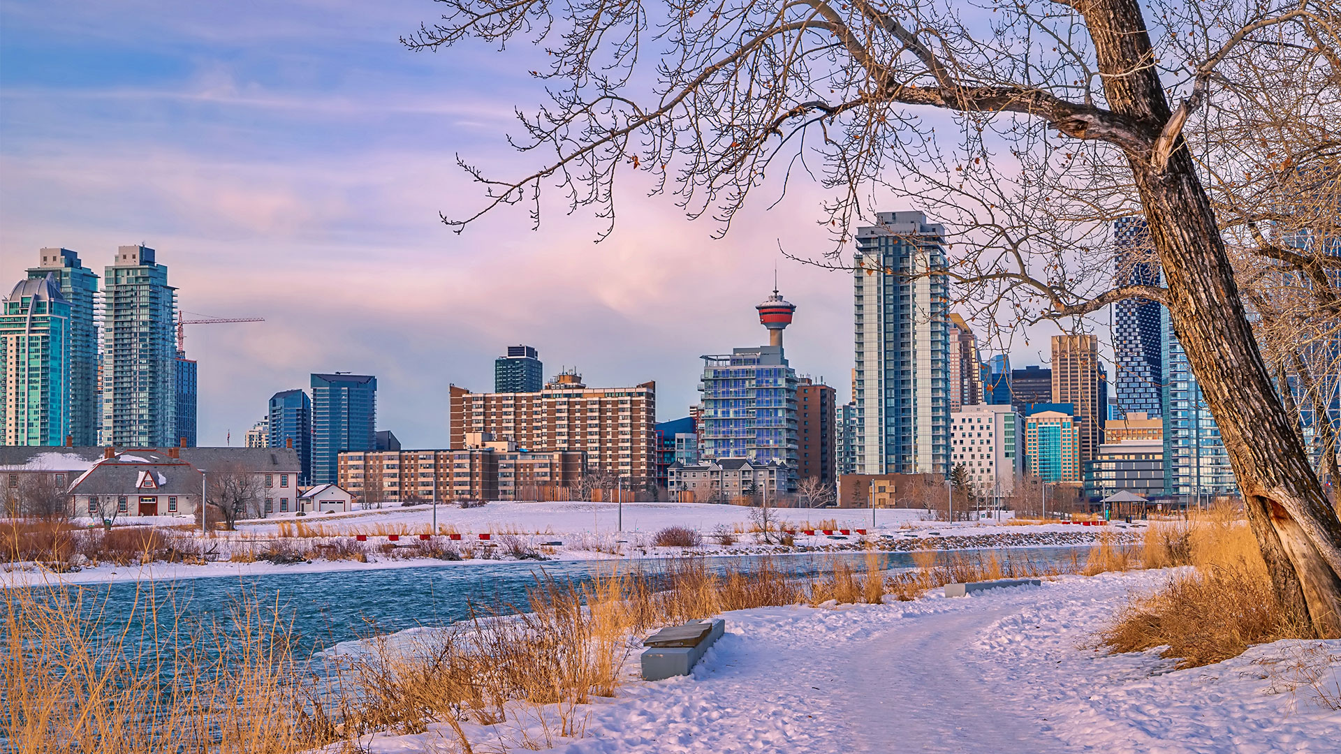 Calgary Winter