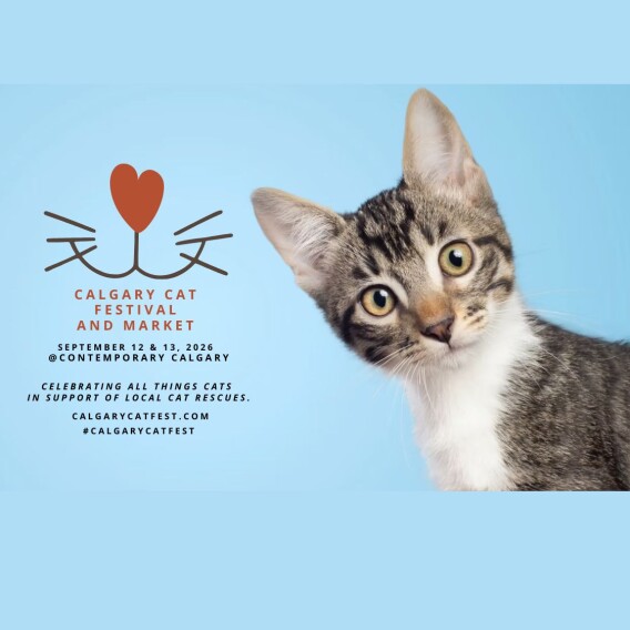 Calgary Cat Festival and Market 95 x 95 mm 1  ScaleMaxWidthWzE5MjBd