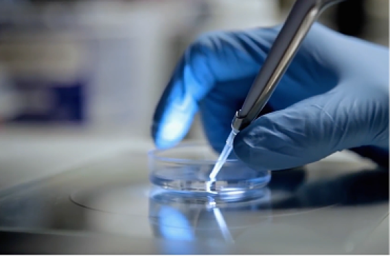 Gloved hand using a pipette to dispense liquid into a clear petri dish on laboratory surface.