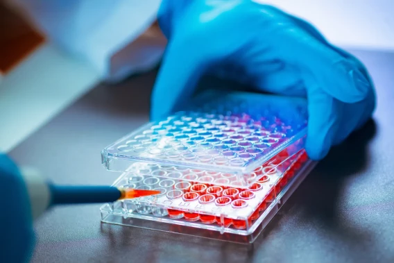 Gloved hand pipetting red liquid samples into a clear laboratory microplate.
