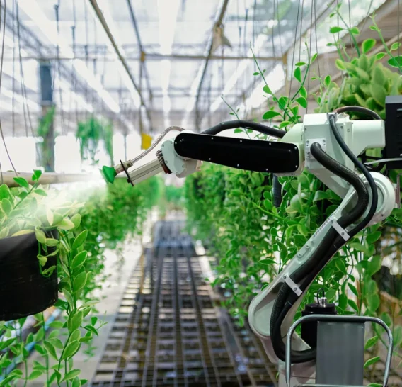 Robotic arm tending plants inside a greenhouse as part of agricultural automation.