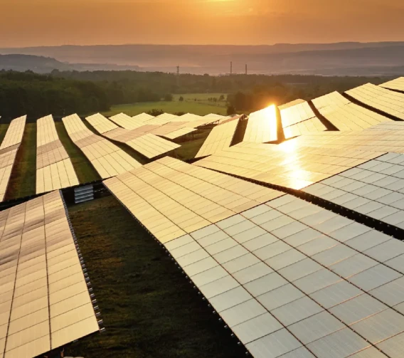 Large solar panel farm reflecting sunset light across a rural landscape.