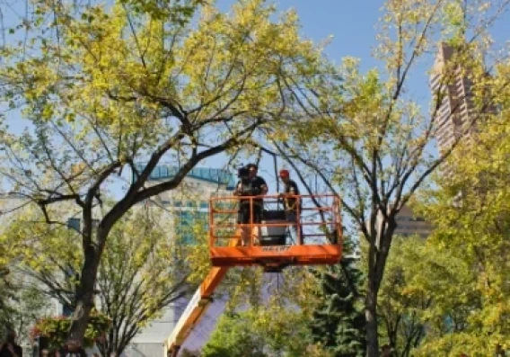 Two workers standing on an elevated lift platform among trees in an urban area.