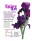 Art in the Garden Invitation 2022
