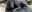 IMG 20220519 WA0004