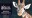 WAHGiraffes