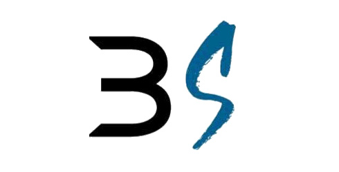 Bricks Sense Logo