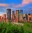 agribusiness+the calgary advantage