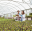 agribusiness farming study