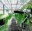 calgary+agribusiness+agri tech