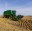calgary+agribusiness olds agriculture corridor+why here