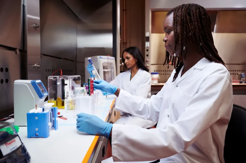 Two laboratory scientists processing test samples with research equipment and protective gloves.
