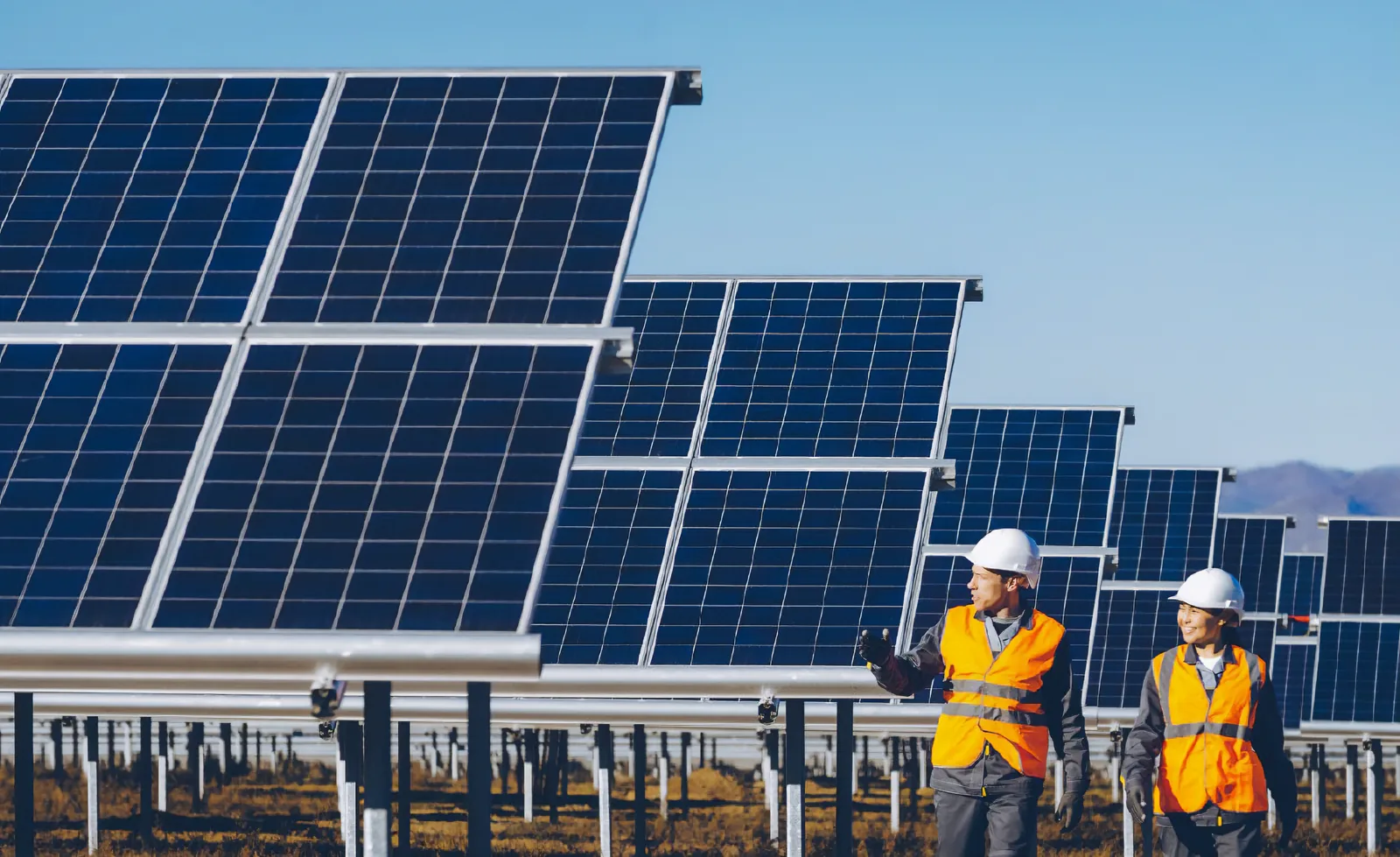 Two workers in safety gear inspecting solar panels at a large solar farm.