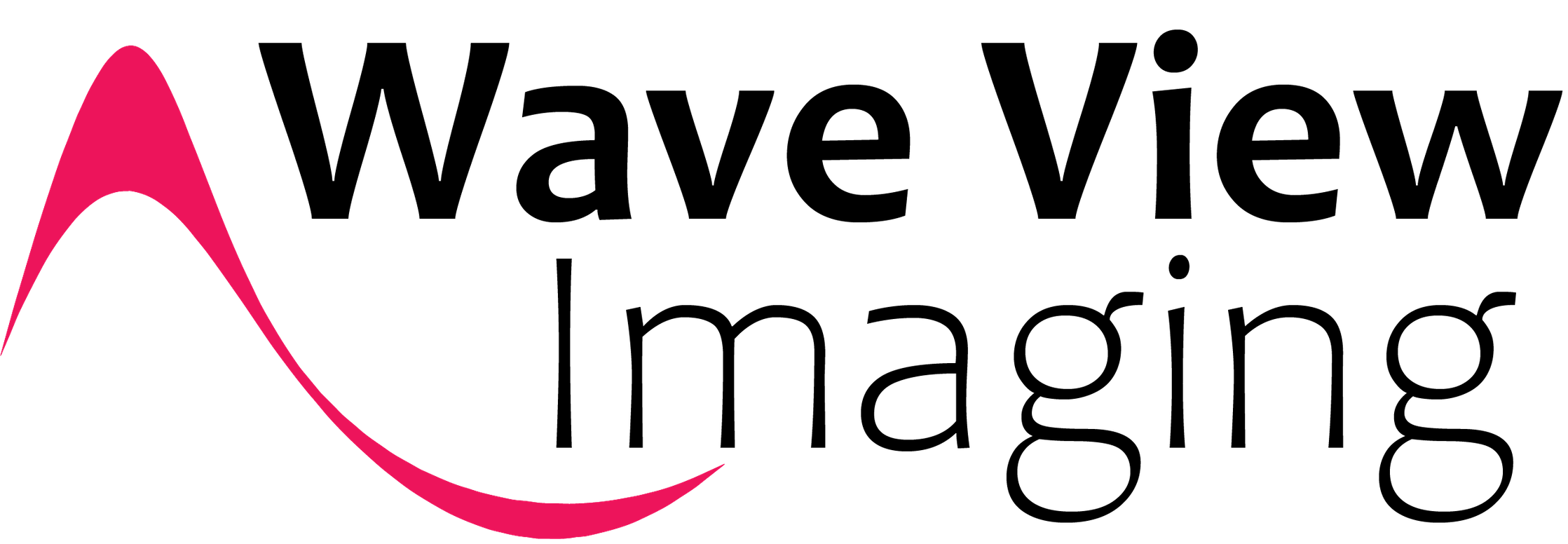Official Wave View Imaging Logo