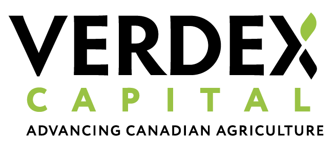 verde capital logo